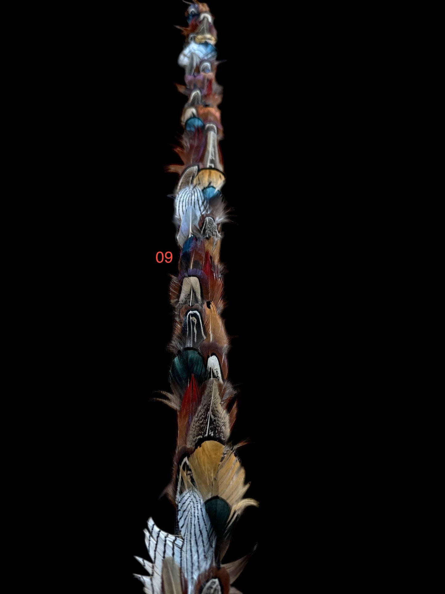 Feather hat band with strap: Feather #1