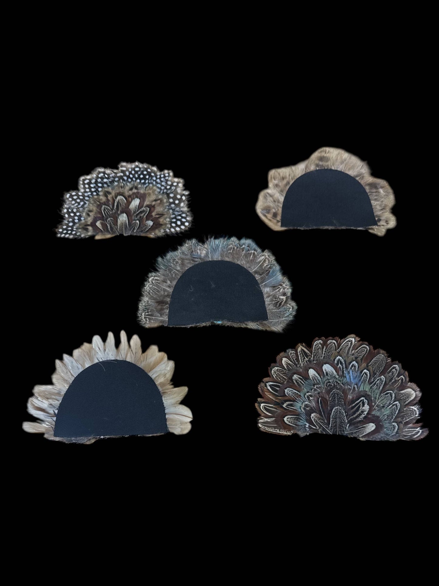 Crown Feather for hats: CF07