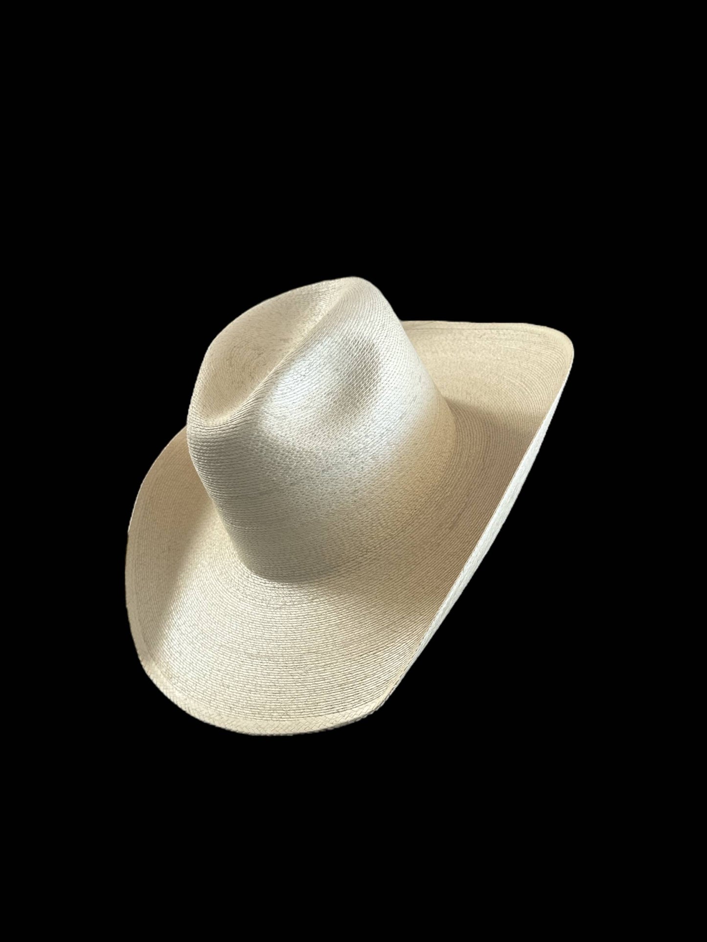 New Fine Palm Natural : Explorer 10cm brim