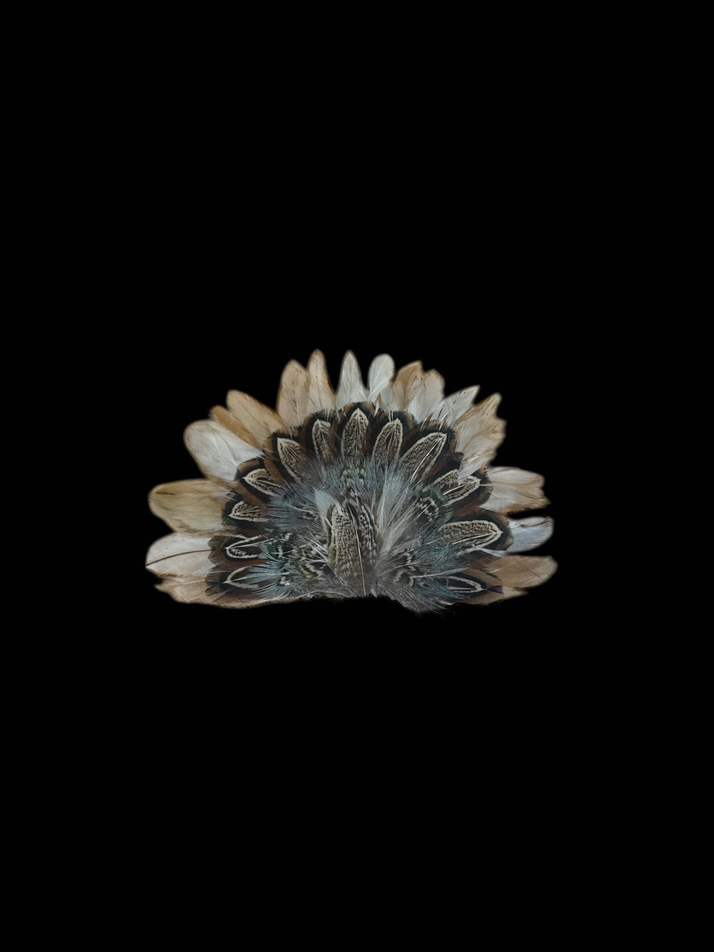 Crown Feather for hats: CF07