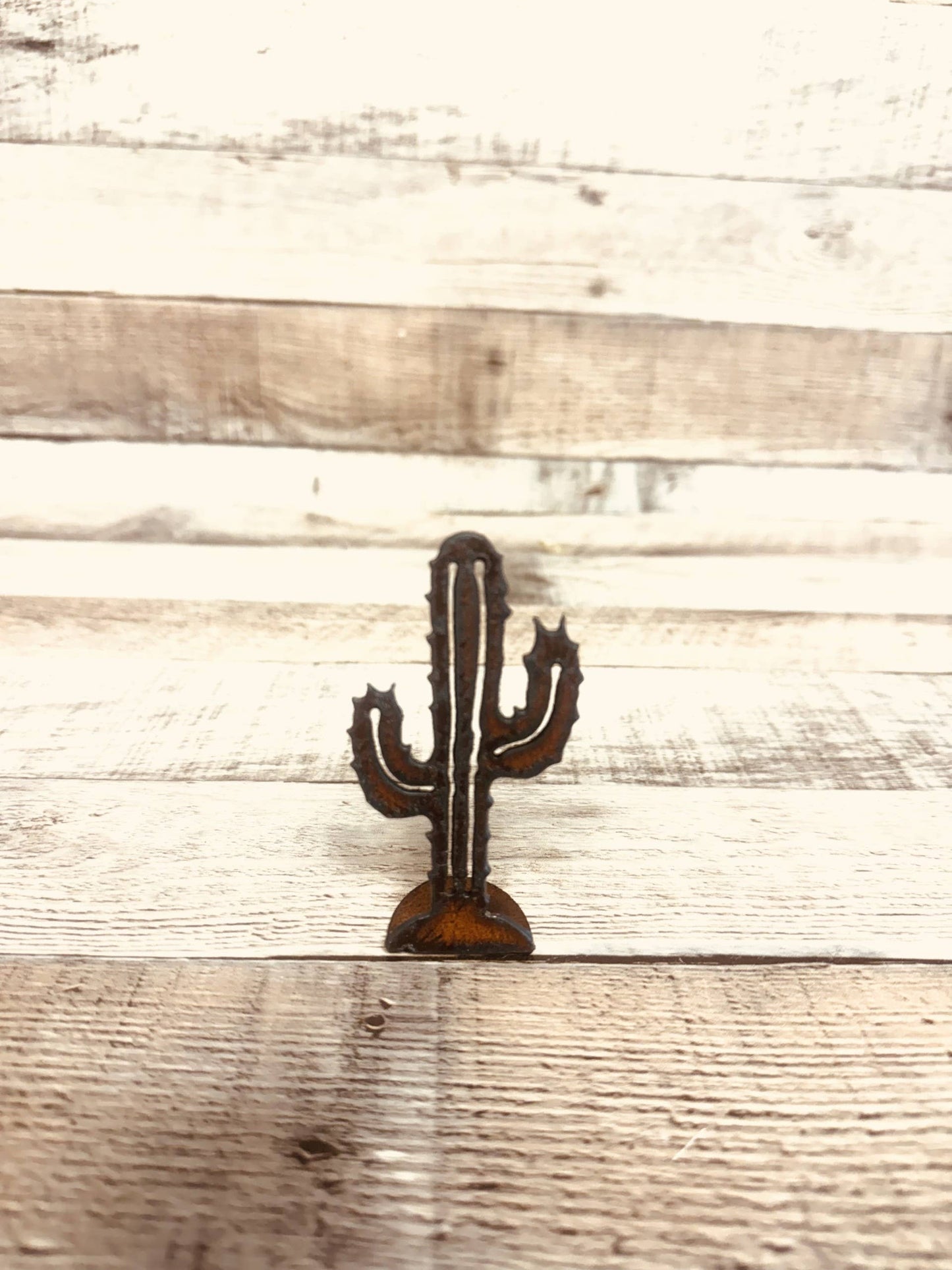 EMP Cactus ADD ON Rustic Arizona Metal Tabletop Figurine