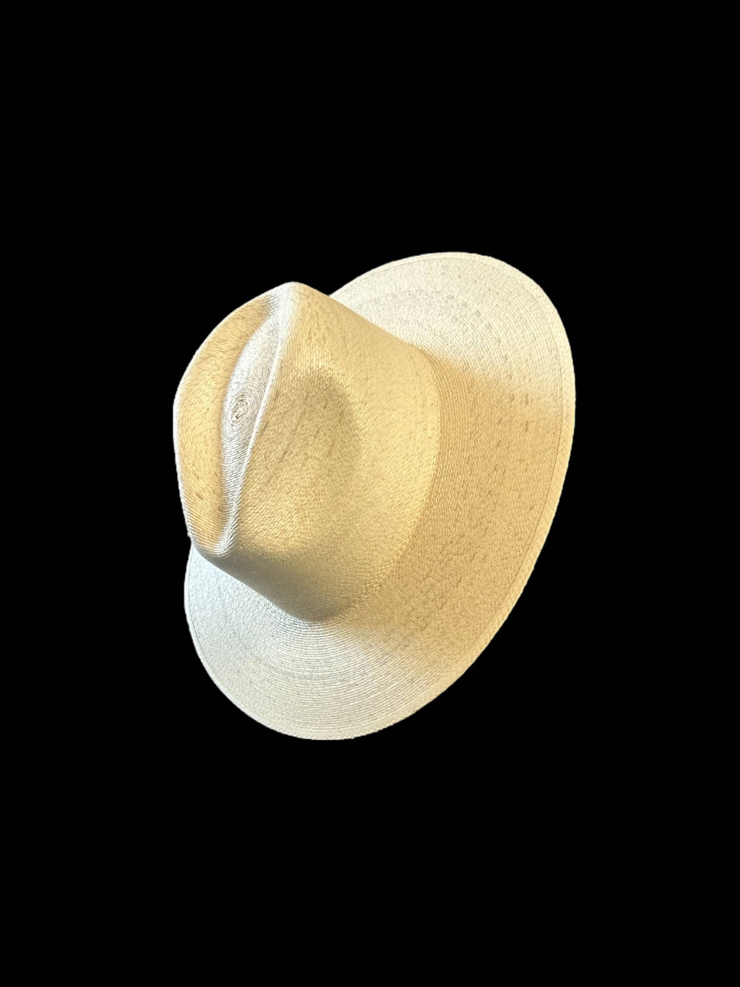 New Fine Palm Natural : Explorer 10cm brim