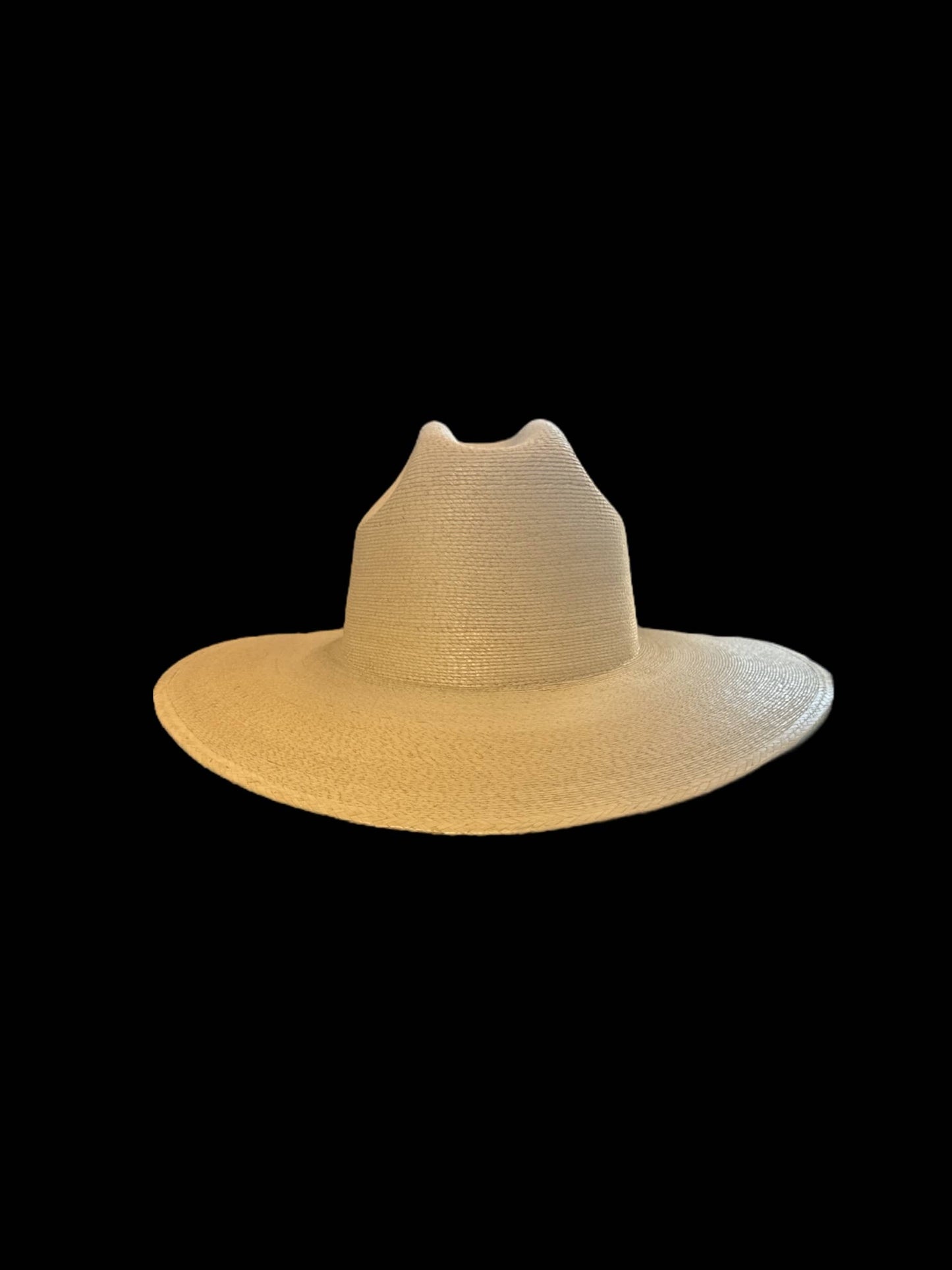 New Fine Palm Natural : Explorer 10cm brim