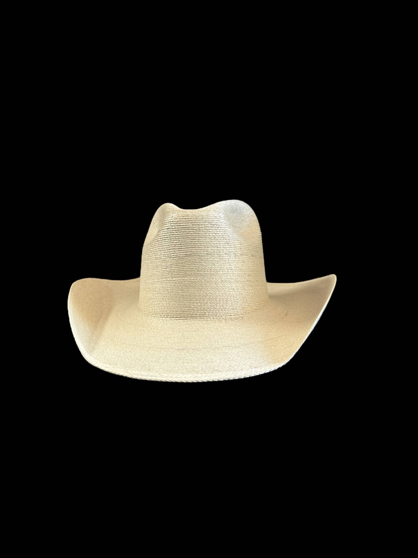 New Fine Palm Natural : Explorer 10cm brim