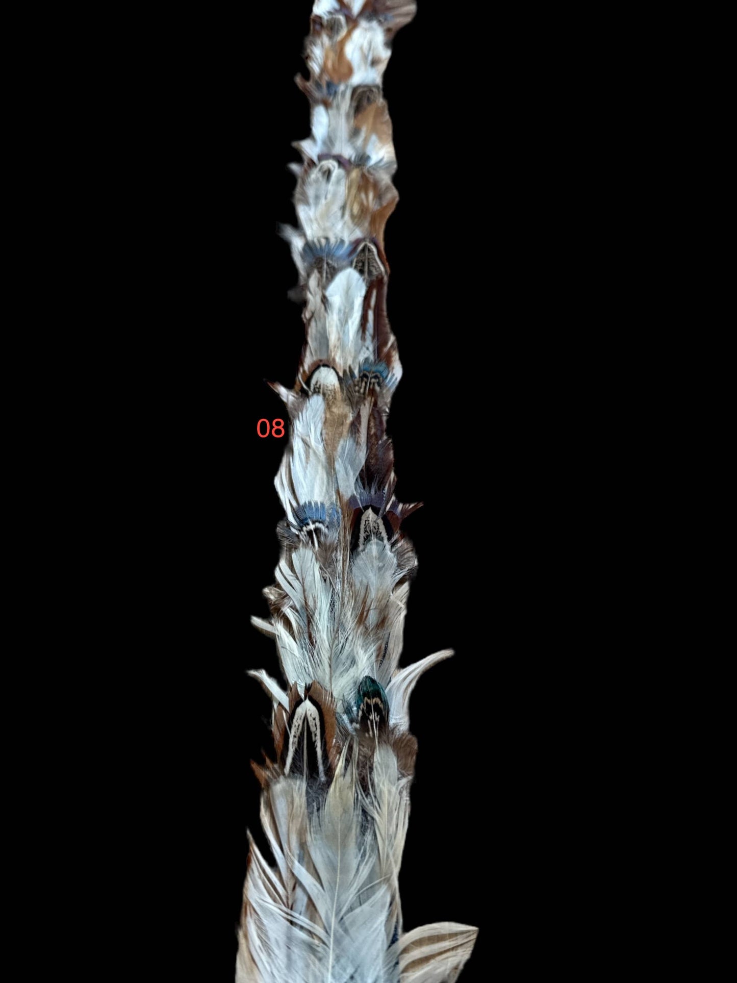 Feather hat band with strap: Feather #1