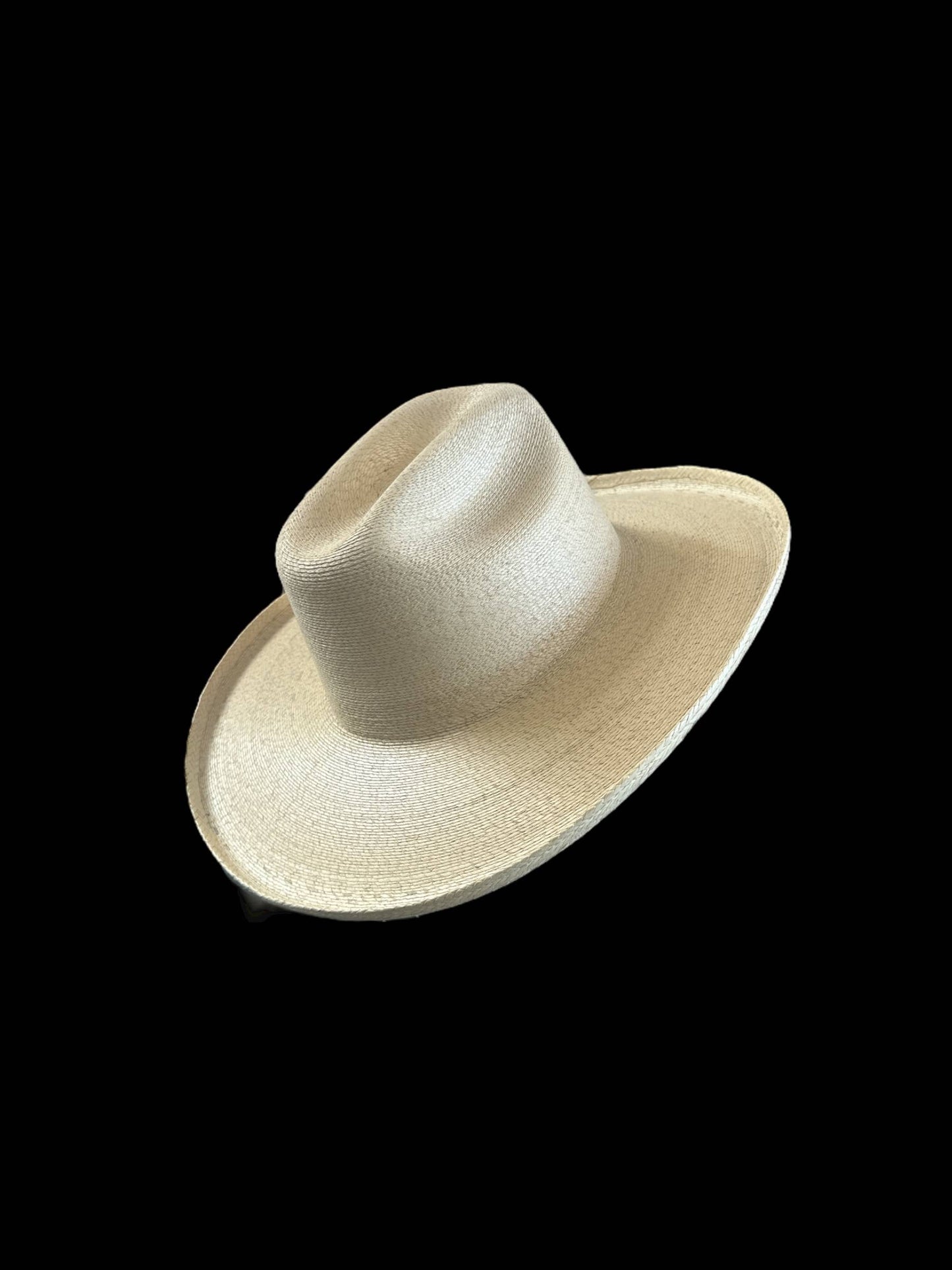 New Fine Palm Natural : Explorer 10cm brim