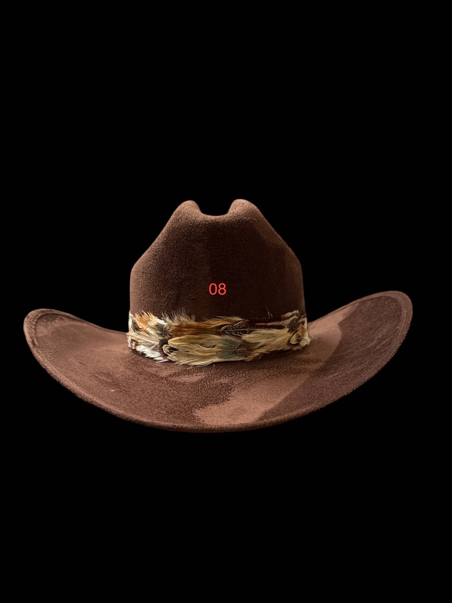 Feather hat band with strap: Feather #1